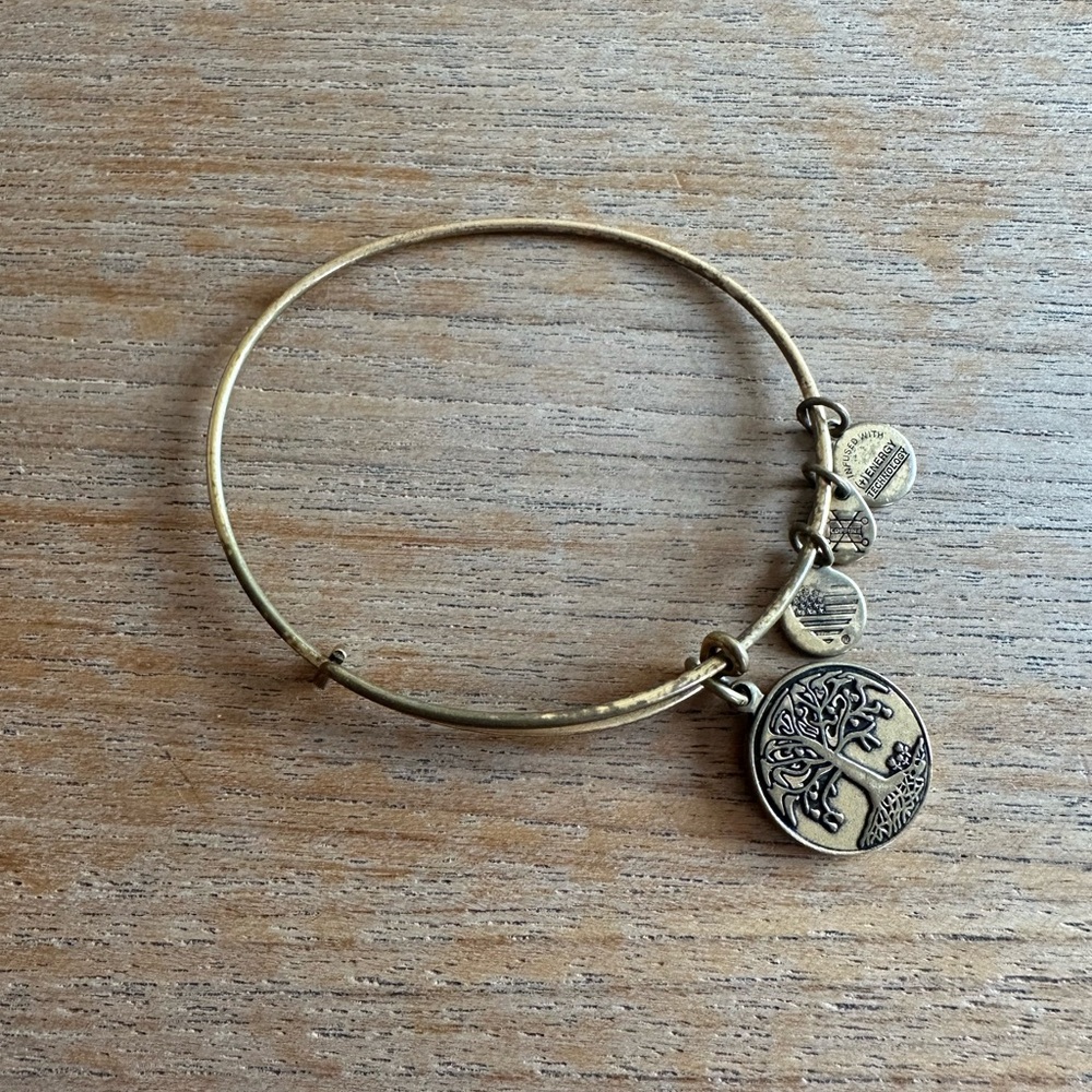 Alex and Ani Tree of Life Charm Bracelet Gold